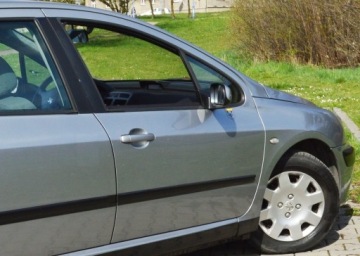 Peugeot 307 I Hatchback 1.6 16V 109KM 2003 PEUGEOT 307 1.6 16V 110 KM, zdjęcie 9