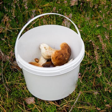 Ведро пластиковое с крышкой, 3л, белое ведро