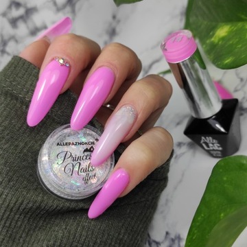 DUST DECORATION NAIL GLITTER PRINCESS NAILS Радужный выбор цвета