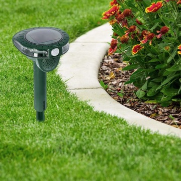 Вы отпугиваете куниц, кошек и лесных зверей.