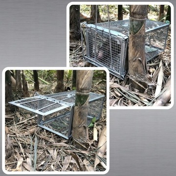 Ловушка более богатой мыши мыши грызун Мартен Кэдж Кейдж гуманитарная лапа