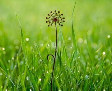 Стильный цветочный сад