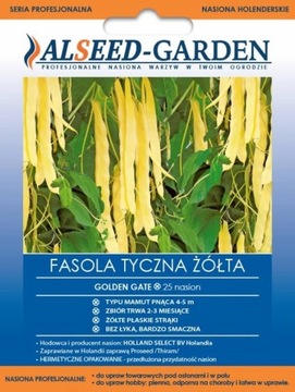 FASOLA TYCZNA ŻÓŁTA TYP MAMUT NASIONA HOLENDERSKIE