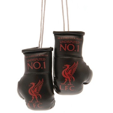 LIVERPOOL ZAWIESZKA DO AUTA RĘKAWICE BOKSERSKIE ORYGINALNE