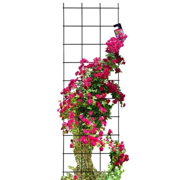 KRATA PERGOLA OGRODOWA DO ROŚLIN PNĄCYCH 45x150