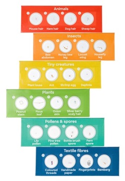 Микропрепараты для микроскопа / Discovery Flora and Fauna 24