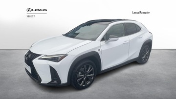 Lexus 2022 Lexus UX