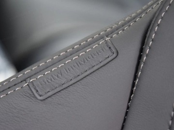 BMW X7 SUV Facelifting 3.0 40d 352KM 2025 xDrive40d Sport Suv 3.0 (352KM) 2025, zdjęcie 8