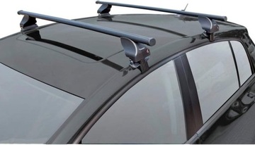SADA ZAVAZADLA STŘECHA TWINNY LOAD OCEL S55 CITROEN C4 PICASSO/GRAND P