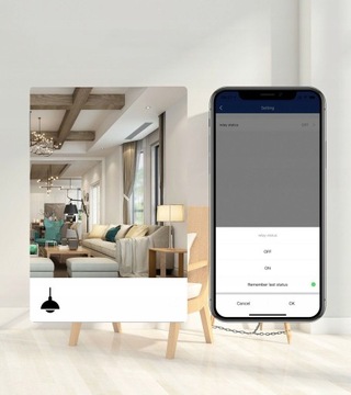 Реле переключателя Wi-Fi TUYA 2CH