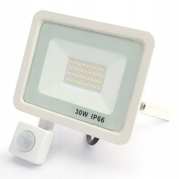 Syntron NAŚWIETLACZ Z CZUJNIKIEM RUCHU BIAŁY 30W B.NEUTRALNA