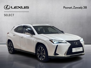 Lexus UX 2025 Lexus UX 300h Omotenashi Lexus UX 300h Omotenashi,, zdjęcie 6