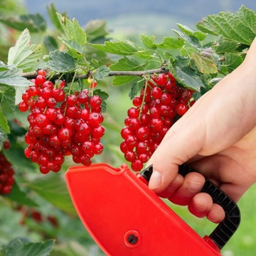 Гребенчатая машина BERRY Picker для фруктов, черники, смородины