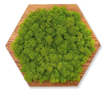 НАСТЕННЫЕ ПАНЕЛИ СВЕТЛЫЙ МОХ ШЕСТИГРАННИК МИНИ