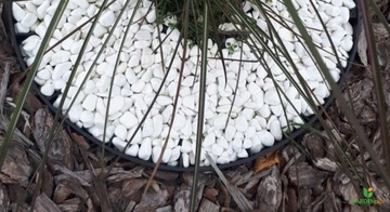 Бордюр садовый пластиковый коричневый 1000см + анкеры