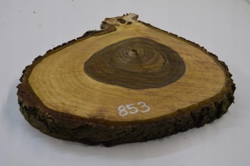 Срез древесины грецкого ореха 48x41Gr4,5 для смолы