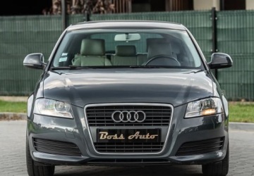 Audi A3 8P Hatchback 3d 1.6 TDI 105KM 2010 Audi A3 3-drzwiowe 1.6TDI 105KM DsG Skora Climatron Alu Po Serwisie Gwaran, zdjęcie 3