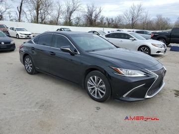 Lexus ES VII (XV70) 2021 Lexus ES 2021 r.,2,5 L 300 H 2.5 Hybryda 215KM, zdjęcie 2