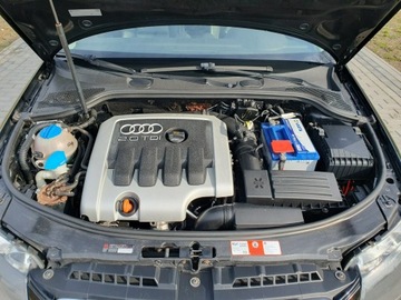 Audi A3 8P Hatchback 3d 2.0 TDI PD 140KM 2004 Audi A3 2.0tdi 140KM Skóra Klima Alu17 Raty, zdjęcie 12