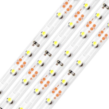 Taśma LED 12V 5m IP65 300 LED diod smd 2835 rolka
