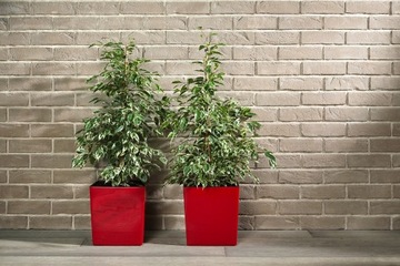 Цветочный горшок-ламела JUKA 40x40см КРЕМ глянец