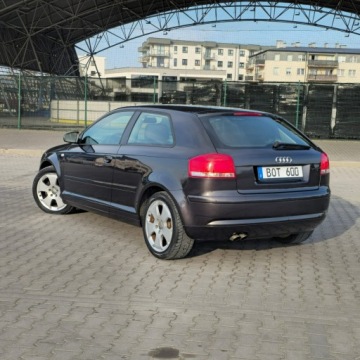 Audi A3 8P Hatchback 3d 2.0 TDI PD 170KM 2008 Audi A3 3-drzwiowe 2.0 Diesel 170KM, zdjęcie 10