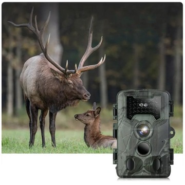 ИК-ловушка Охотничья лесная камера ПОЛЬСКОЕ МЕНЮ на SD-карте FHD 36Mpx