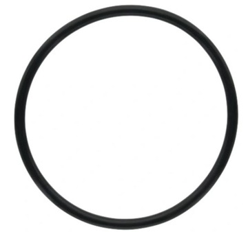 ORING USZCZELKA DO FILTRÓW WODY 10