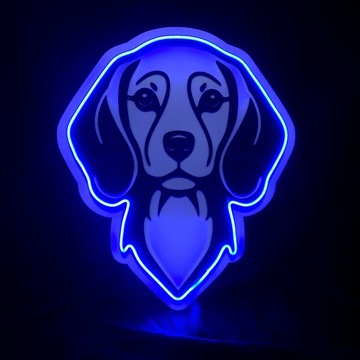 Neon/Led Pies