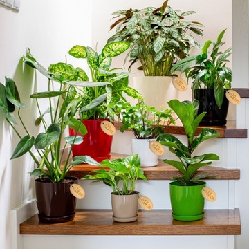 DONICZKA Z PODSTAWKĄ PLASTIKOWA OSŁONKA DONICA 12cm ŻÓŁTA NA KWIATY KADAX