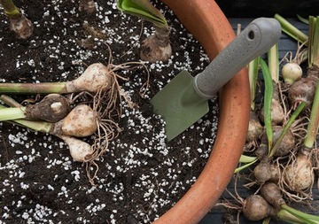 САДОВЫЙ ПЕРЛИТ ФЛЮИДЕР BIOVITA СУБСТРАТ 10л