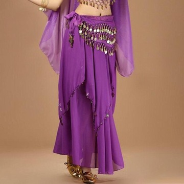 Belly Dance Skirt Dress Costumes with