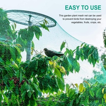 Виноград с сеткой для птиц