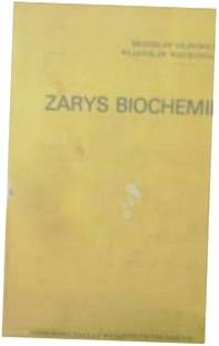 Zarys biochemii - Filipowicz