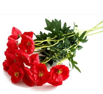 MAK SZTUCZNY GAŁĄZKA BUKIET MAKI POLNE KWIATY WIOSNA Elinehouse