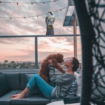 ОТПУПЫВАТЕЛЬ СОКОЛ-ЯСКОЛОВ ПТИЦ Скворцы ГОЛУБИ