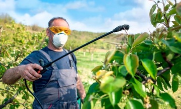 РУЧНОЙ ОПРЫСКИВАТЕЛЬ ДАВЛЕНИЯ САДОВЫЙ ОПРЫСКИВАТЕЛЬ КОПЬЕ 8Л