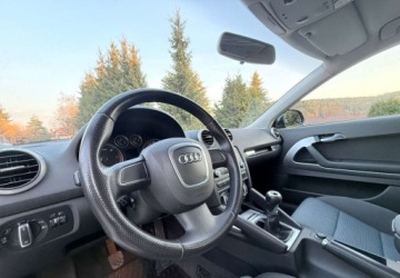 Audi A3 8P Hatchback 3d 1.6 TDI 105KM 2010 Audi A3 3-drzwiowe Audi A3 3-drzwiowe 1.6 TDI DPF Ambition 1.6 Diesel 105KM, zdjęcie 17
