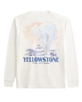 Hollister by Abercrombie - Relaxed Yellowstone National Park - M -