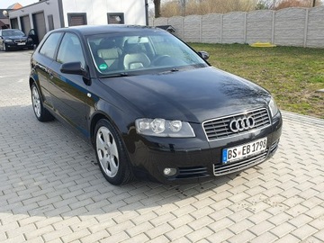 Audi A3 8P Hatchback 3d 2.0 TDI PD 140KM 2004 Audi A3 2.0tdi 140KM Skóra Klima Alu17 Raty, zdjęcie 8