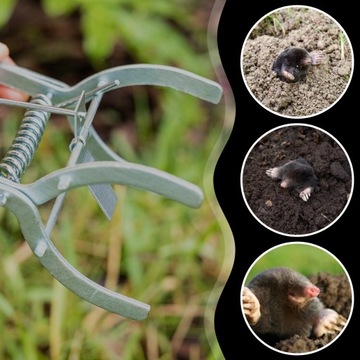 3x PUŁAPKA NA KRETY ŁAPKA SILNY KRETOŁAP NORNICE PROFESJONALNA SOLIDNA STAL