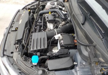 Volkswagen Polo VI Hatchback 5d Facelifting 1.0 TSI 95KM 2024 Volkswagen Polo Okazja Benzyna 95KM, zdjęcie 3