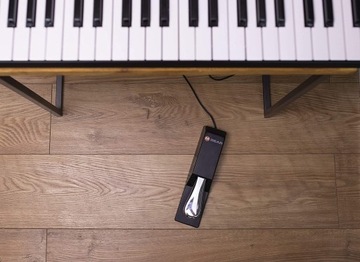 M-Audio SP-2 UNIVERSAL M-GEAR педаль сустейна
