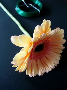 ПРОВОД САДОВЫЙ ДЛЯ РАСТЕНИЙ ПОКРЫТЫЙ ПВХ 50М