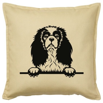 CAVALIER KING CHARLES SPANIEL poduszka prezent