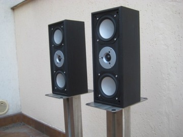 Tiger TC65 4Ohm 100 Watt 2 x Kolumny Głośniki a1
