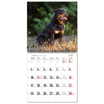 Календарь 2025 стена Большая 30 х 60 см 13 плат