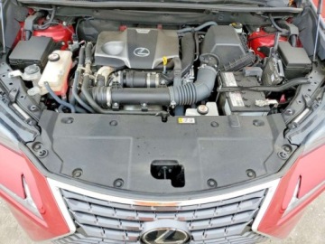 Lexus NX II 2021 Lexus NX 2021 Lexus NX 300 BASE 2.0 Benzyna 235KM, zdjęcie 11