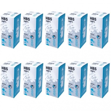 Żarówki VISION HB5 9007 12V 65/55W P29t, 10 szt.