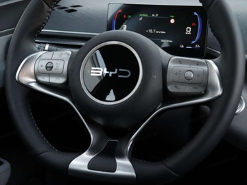 BYD 2025 BYD Dolphin Surf Boost Hatchback (88 KM) 2025, zdjęcie 9